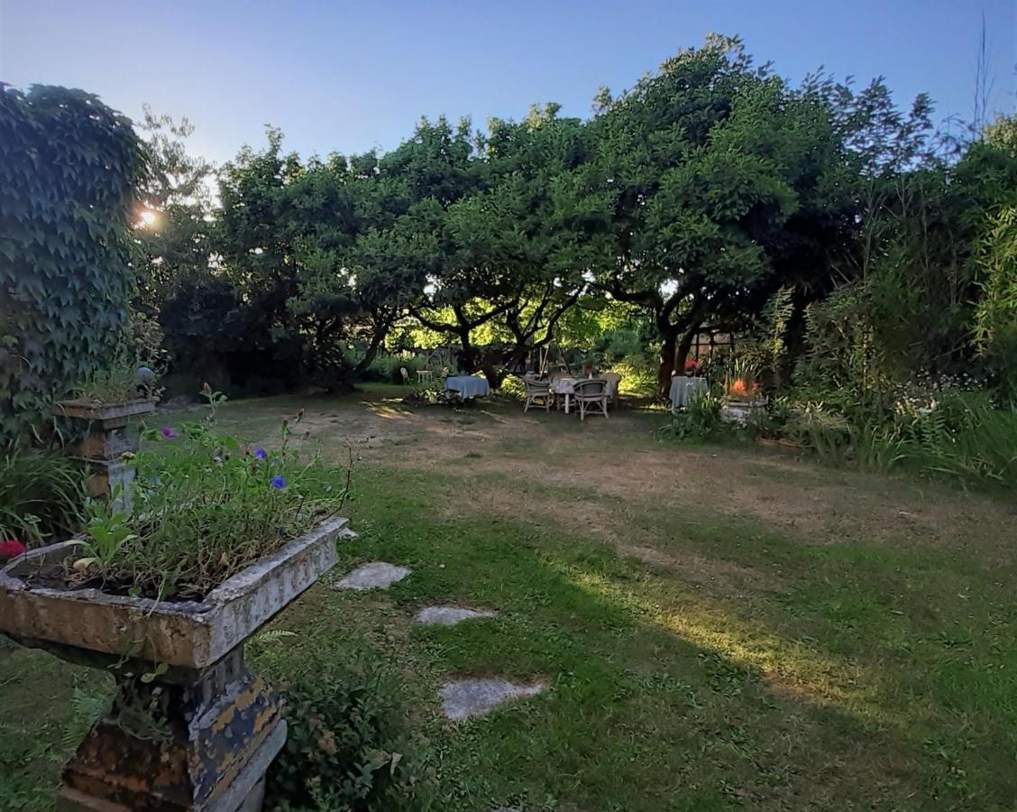 Villa Ritte Dendermonde Εξωτερικό φωτογραφία
