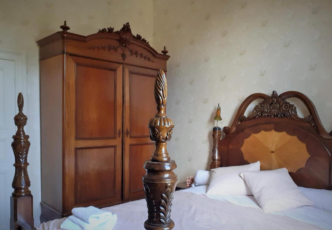 Villa Ritte Dendermonde Εξωτερικό φωτογραφία