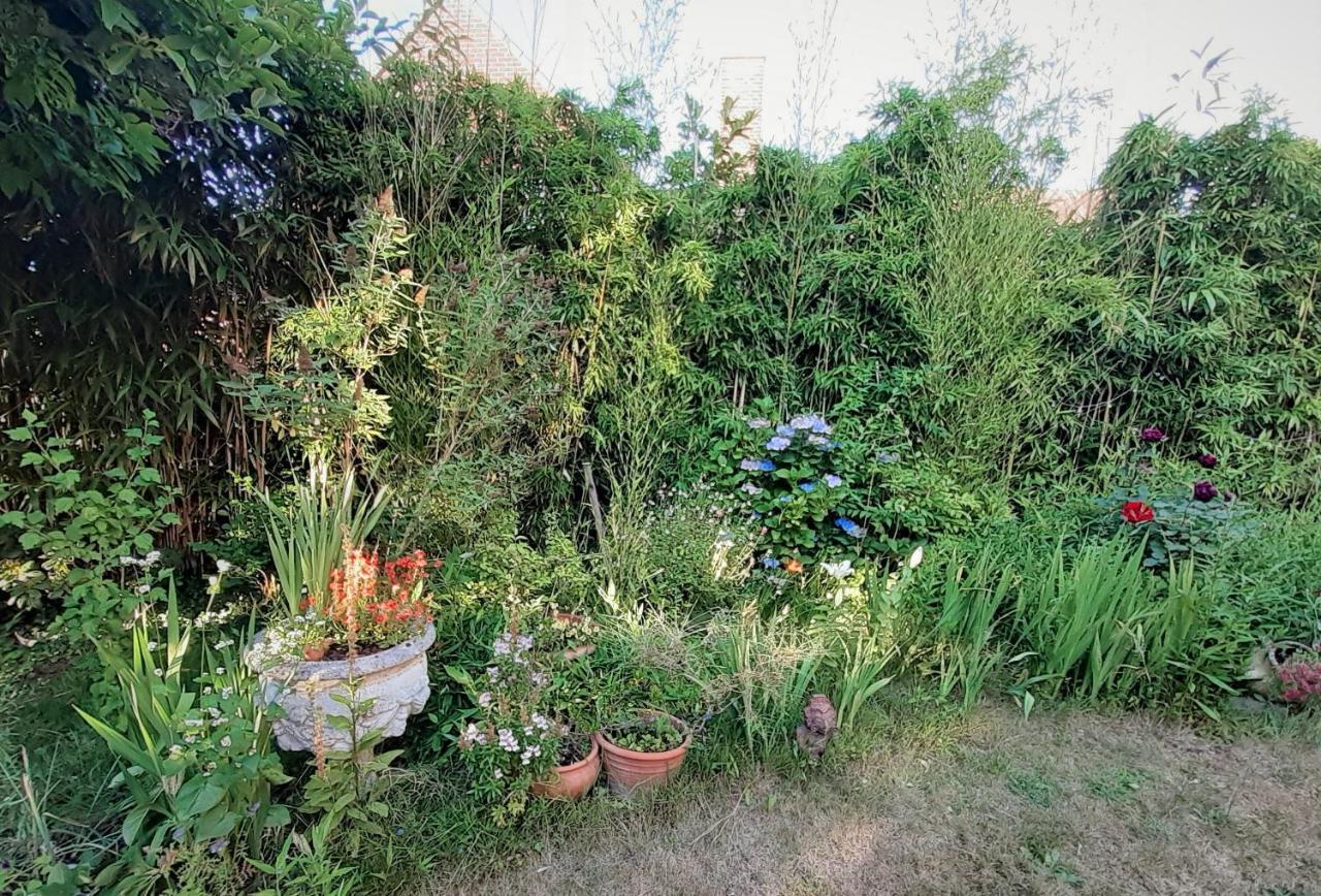 Villa Ritte Dendermonde Εξωτερικό φωτογραφία
