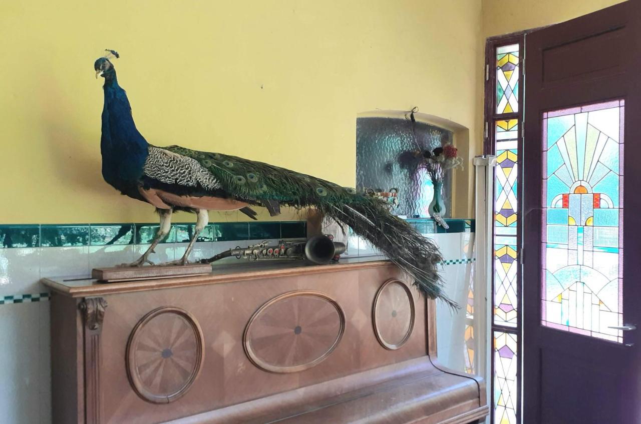 Villa Ritte Dendermonde Εξωτερικό φωτογραφία