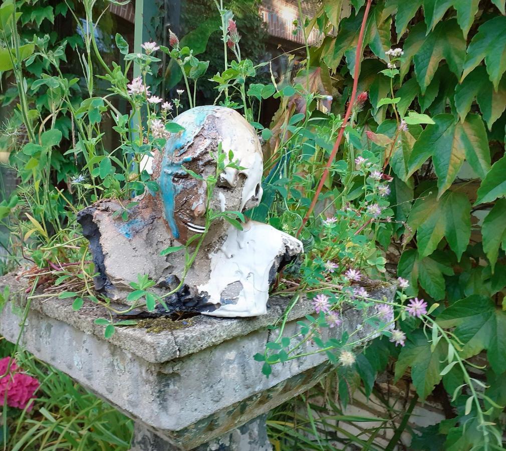 Villa Ritte Dendermonde Εξωτερικό φωτογραφία