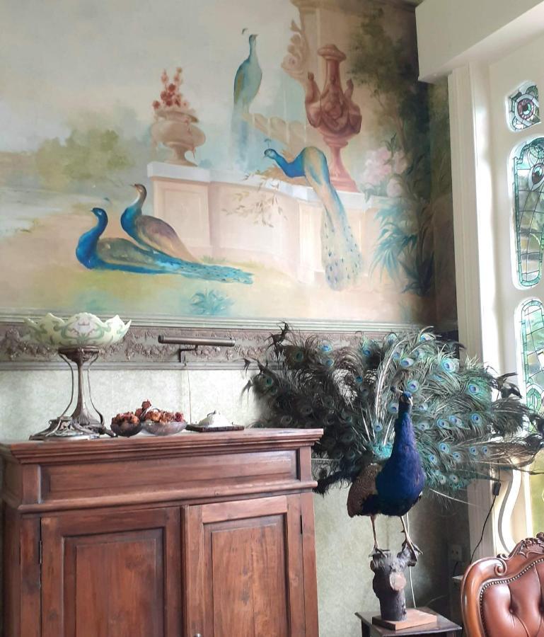 Villa Ritte Dendermonde Εξωτερικό φωτογραφία